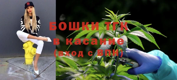 spice Алексин