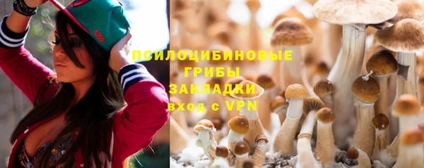 соль курить ск Алзамай