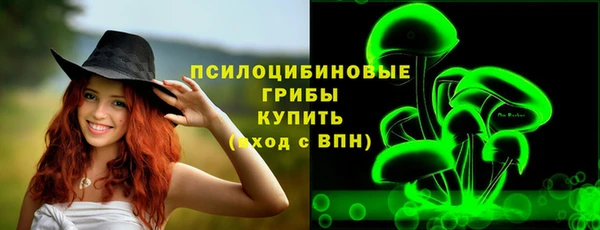 соль курить ск Алзамай