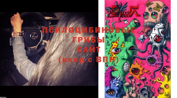 ПСИЛОЦИБИНОВЫЕ ГРИБЫ Алексеевка