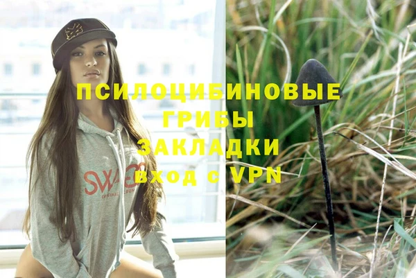 соль курить ск Алзамай