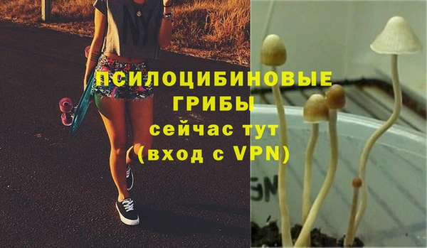 spice Алексин
