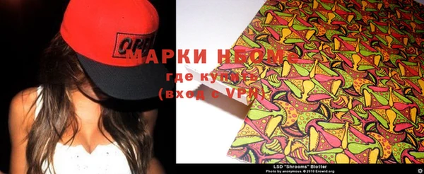 ПСИЛОЦИБИНОВЫЕ ГРИБЫ Алексеевка