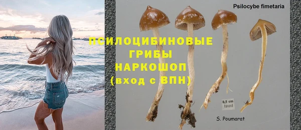 spice Алексин