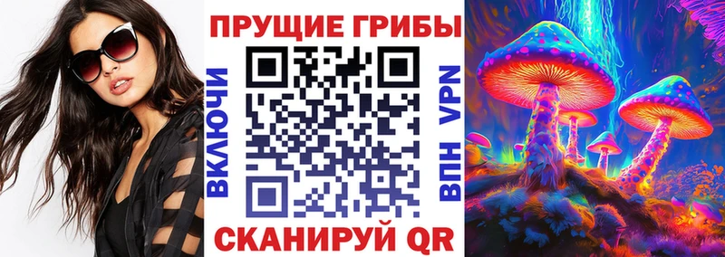 Галлюциногенные грибы Psilocybe Цимлянск